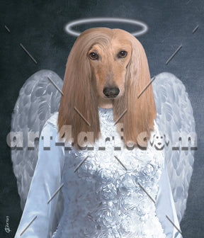 furry angel