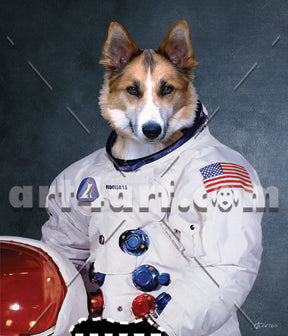 space hound