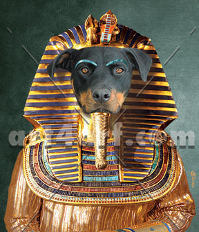 king mutt